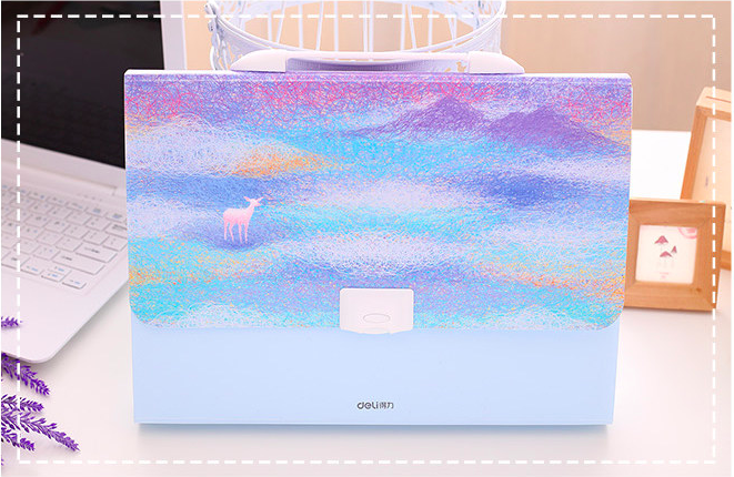 ST-515 Colourful A4 Document File Holder Design B